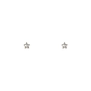 Micro Star Stud Earrings