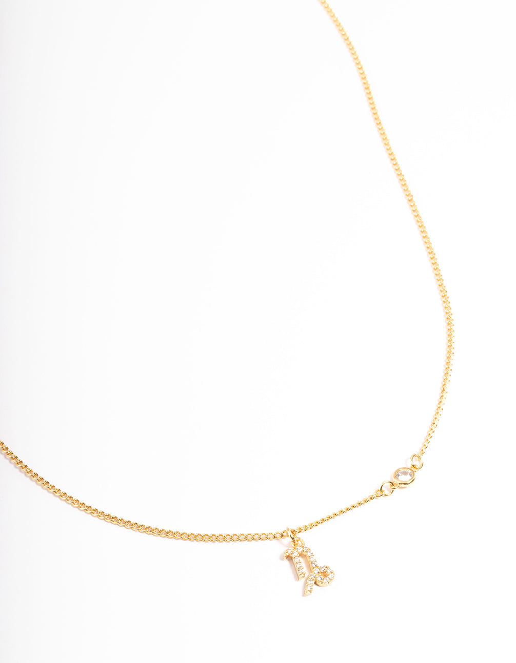 Capricorn Necklace With Pendant